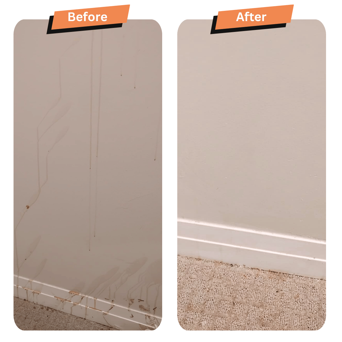 Wall Spot Clean